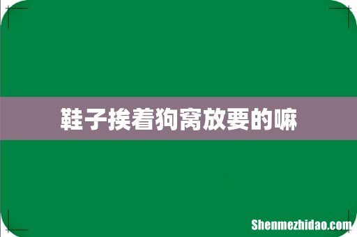 鞋子挨着狗窝放要的嘛