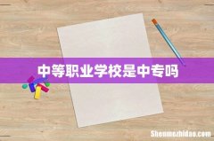 中等职业学校是中专吗