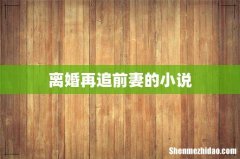 离婚再追前妻的小说
