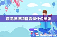 滴滴程维和柳青是什么关系