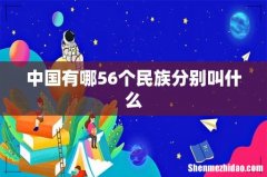 中国有哪56个民族分别叫什么