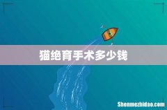 猫绝育手术多少钱