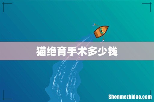 猫绝育手术多少钱
