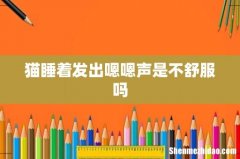 猫睡着发出嗯嗯声是不舒服吗