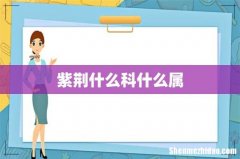 紫荆什么科什么属