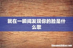 就在一瞬间发现你的脸是什么歌