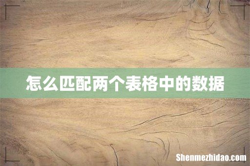 怎么匹配两个表格中的数据