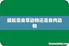 蜈蚣是食草动物还是食肉动物