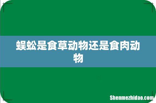蜈蚣是食草动物还是食肉动物