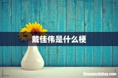 戴佳伟是什么梗