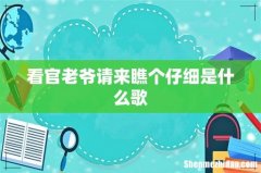 看官老爷请来瞧个仔细是什么歌