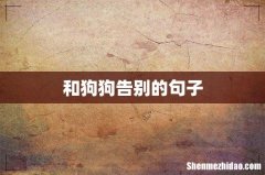 和狗狗告别的句子