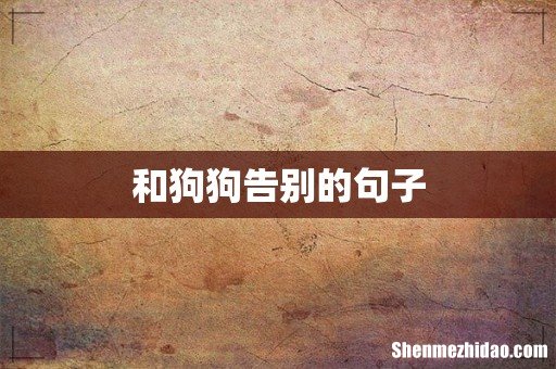 和狗狗告别的句子