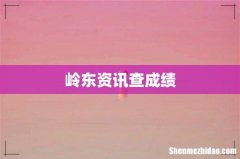岭东资讯查成绩
