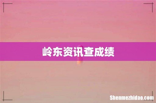 岭东资讯查成绩