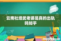 云南杜培武老婆是真的出轨吗知乎