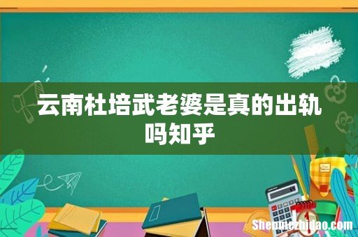云南杜培武老婆是真的出轨吗知乎
