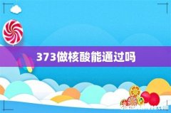 373做核酸能通过吗