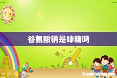 谷氨酸钠是味精吗