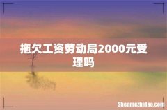 拖欠工资劳动局2000元受理吗