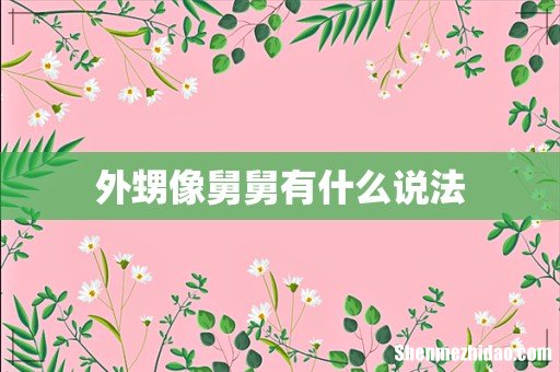 外甥像舅舅有什么说法