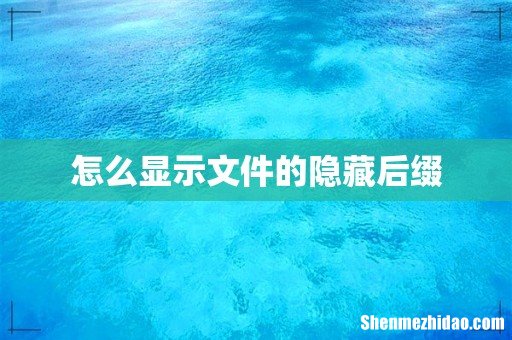 怎么显示文件的隐藏后缀