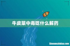 牛皮菜中毒吃什么解药