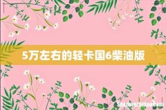 5万左右的轻卡国6柴油版