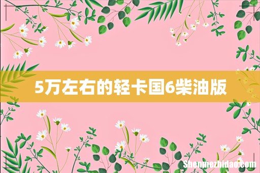 5万左右的轻卡国6柴油版