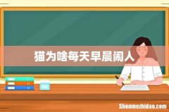 猫为啥每天早晨闹人