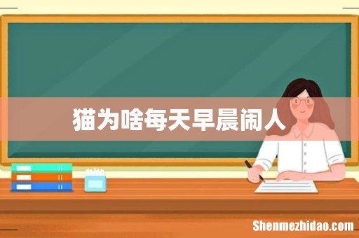 猫为啥每天早晨闹人