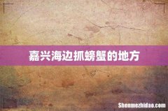 嘉兴海边抓螃蟹的地方