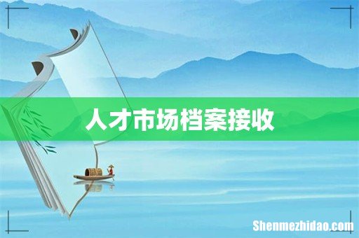 人才市场档案接收