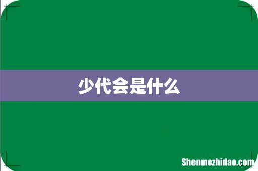 少代会是什么