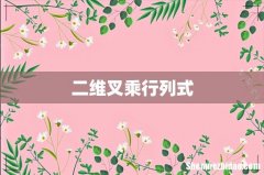 二维叉乘行列式