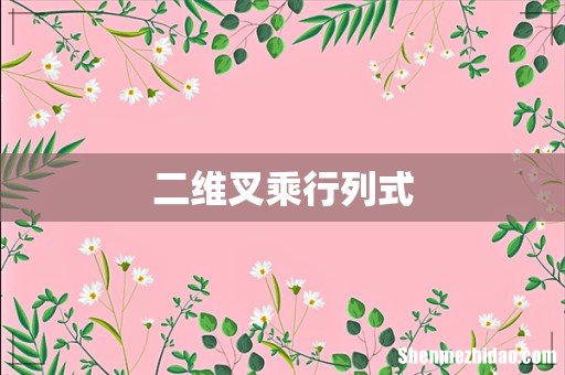 二维叉乘行列式