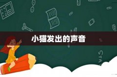 小猫发出的声音