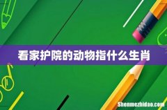看家护院的动物指什么生肖