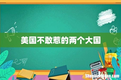 美国不敢惹的两个大国