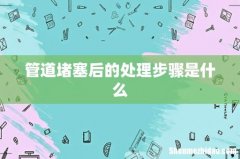 管道堵塞后的处理步骤是什么