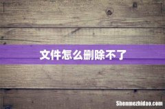 文件怎么删除不了