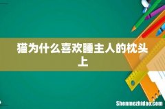 猫为什么喜欢睡主人的枕头上