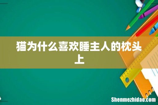 猫为什么喜欢睡主人的枕头上