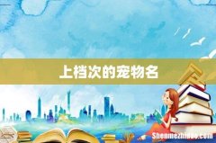 上档次的宠物名