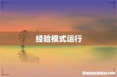 经验模式运行