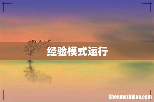 经验模式运行