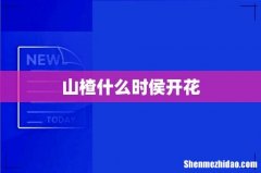 山楂什么时侯开花