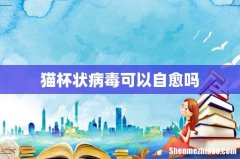 猫杯状病毒可以自愈吗