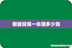 做蜂窝煤一年赚多少钱