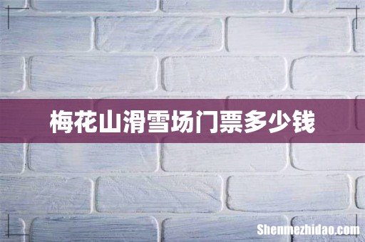 梅花山滑雪场门票多少钱